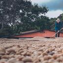 La Federación Nacional de Cafeteros busca promover la comercialización de café colombiano en el mercado nacional, a través de medios digitales.