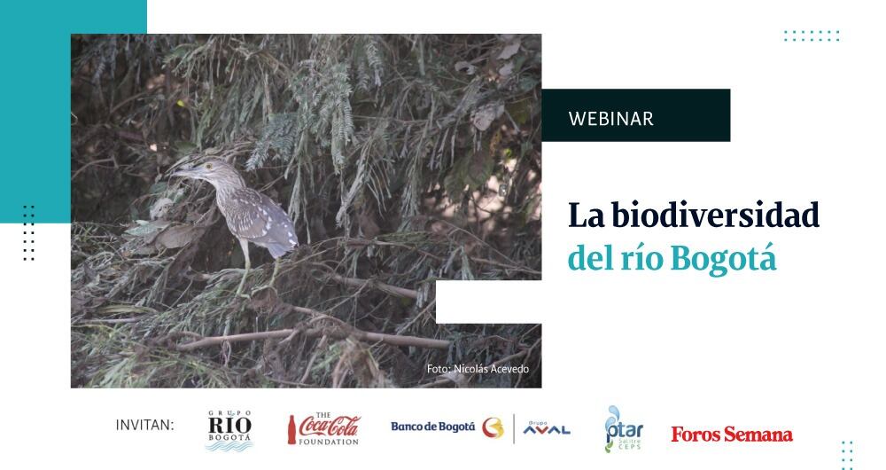 La biodiversidad del río Bogotá