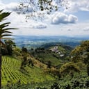 Buenavista, Quindío