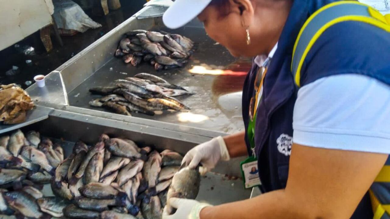 Busca evitar la especulación y acaparamiento de estos productos por la demanda que representan en esta temporada