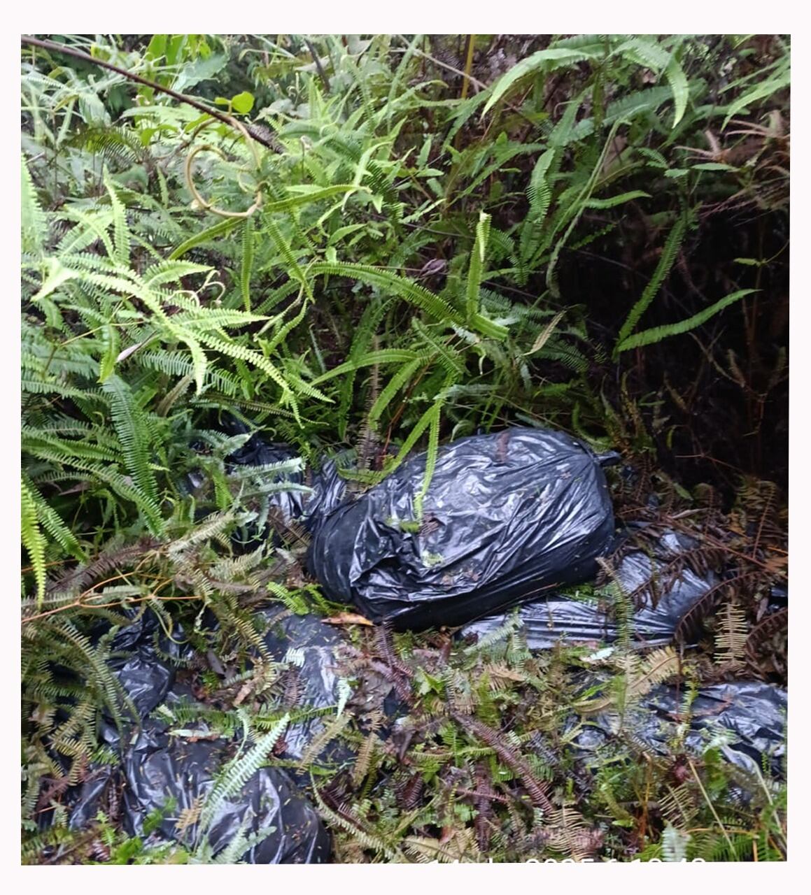 Explosivos encontrados en Putumayo.