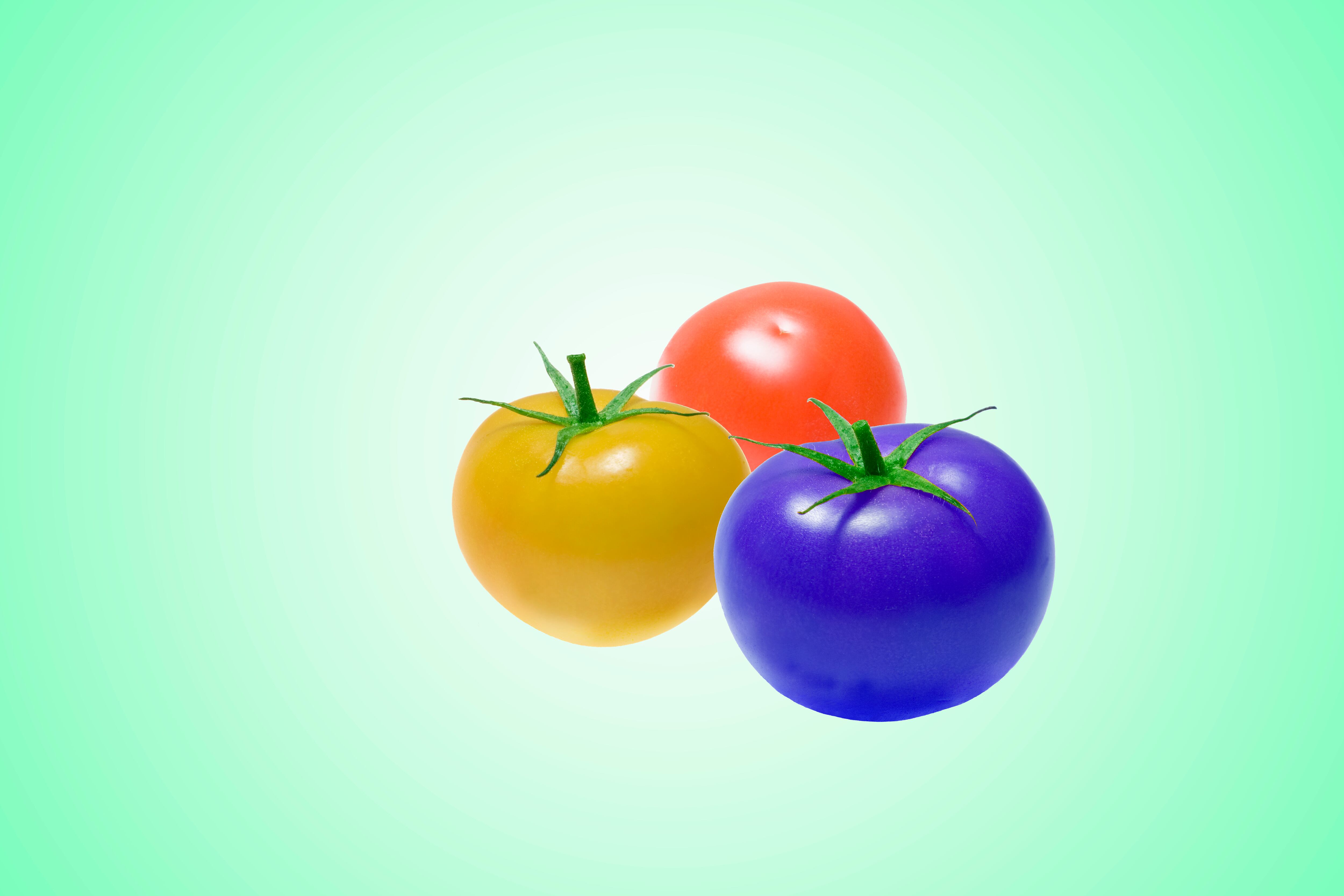 tomate azul