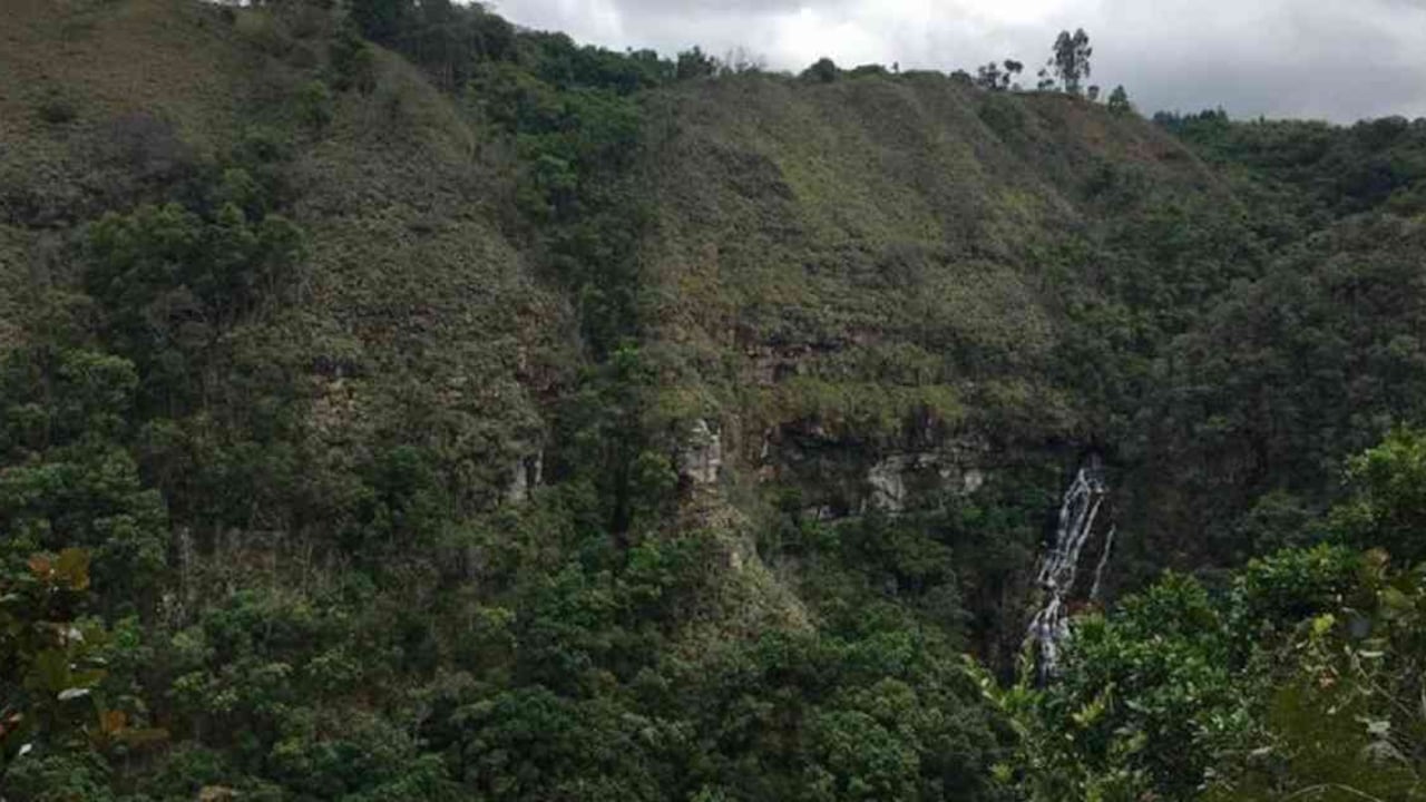 La Reserva Natural Los Yátaros se encuentra a 6 km de Gachantivá, Boyacá. Es vecina del Santuario de Fauna y Flora Iguaque y de la Serranía El Peligro, dos áreas protegidas. Foto: Cortesía de Reserva Natural Los Yátaros.