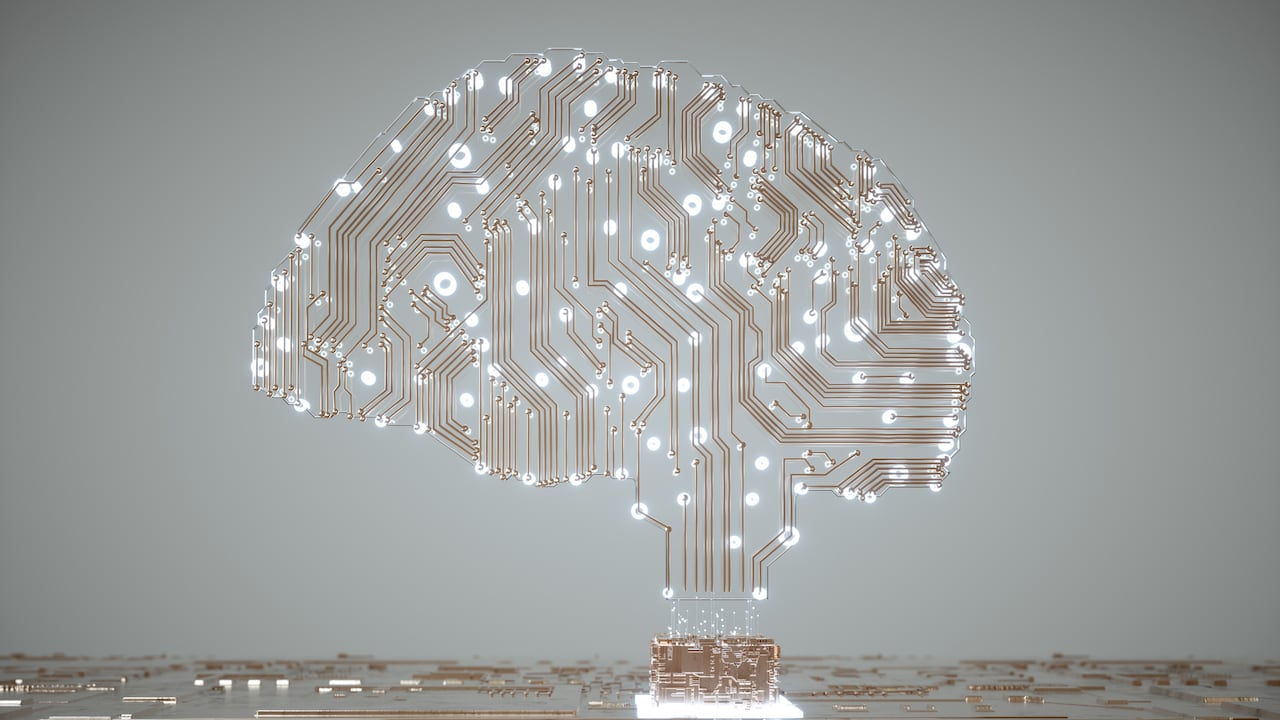 A través de su análisis, la IA ha reconocido patrones que sugieren una inteligencia destacada en diversas áreas.