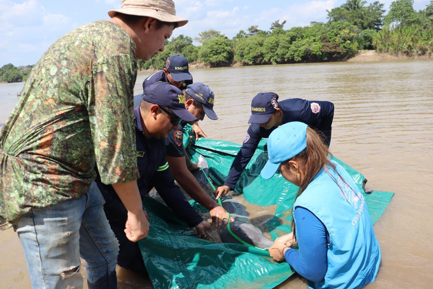 Delfín Rosado fue rescatado tras quedar varado en medio de una vereda en Arauca