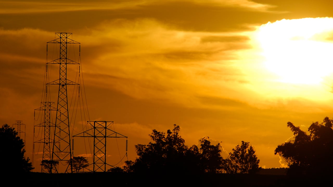 (Imagen de referencia).