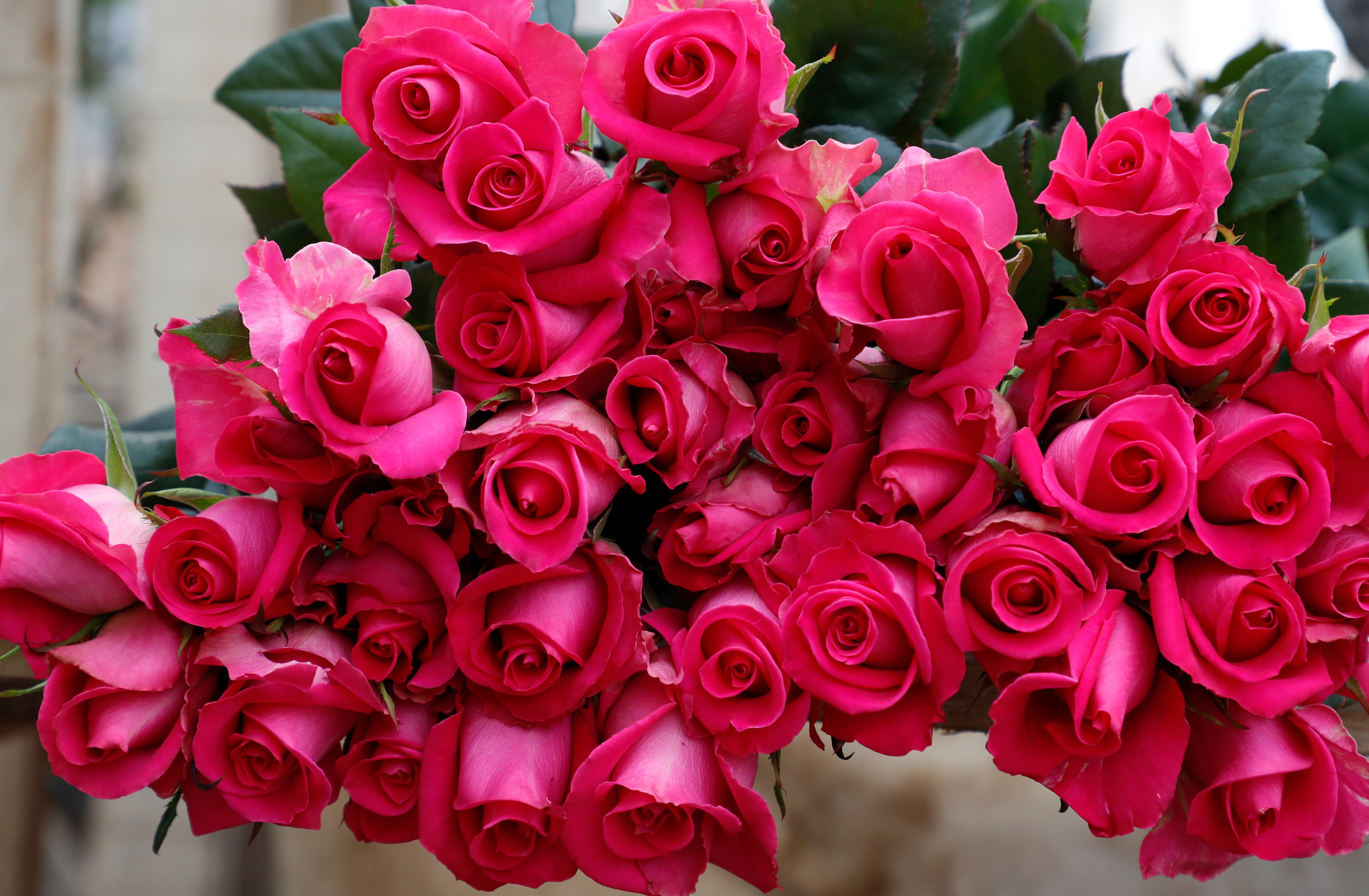 Flores para san valentín