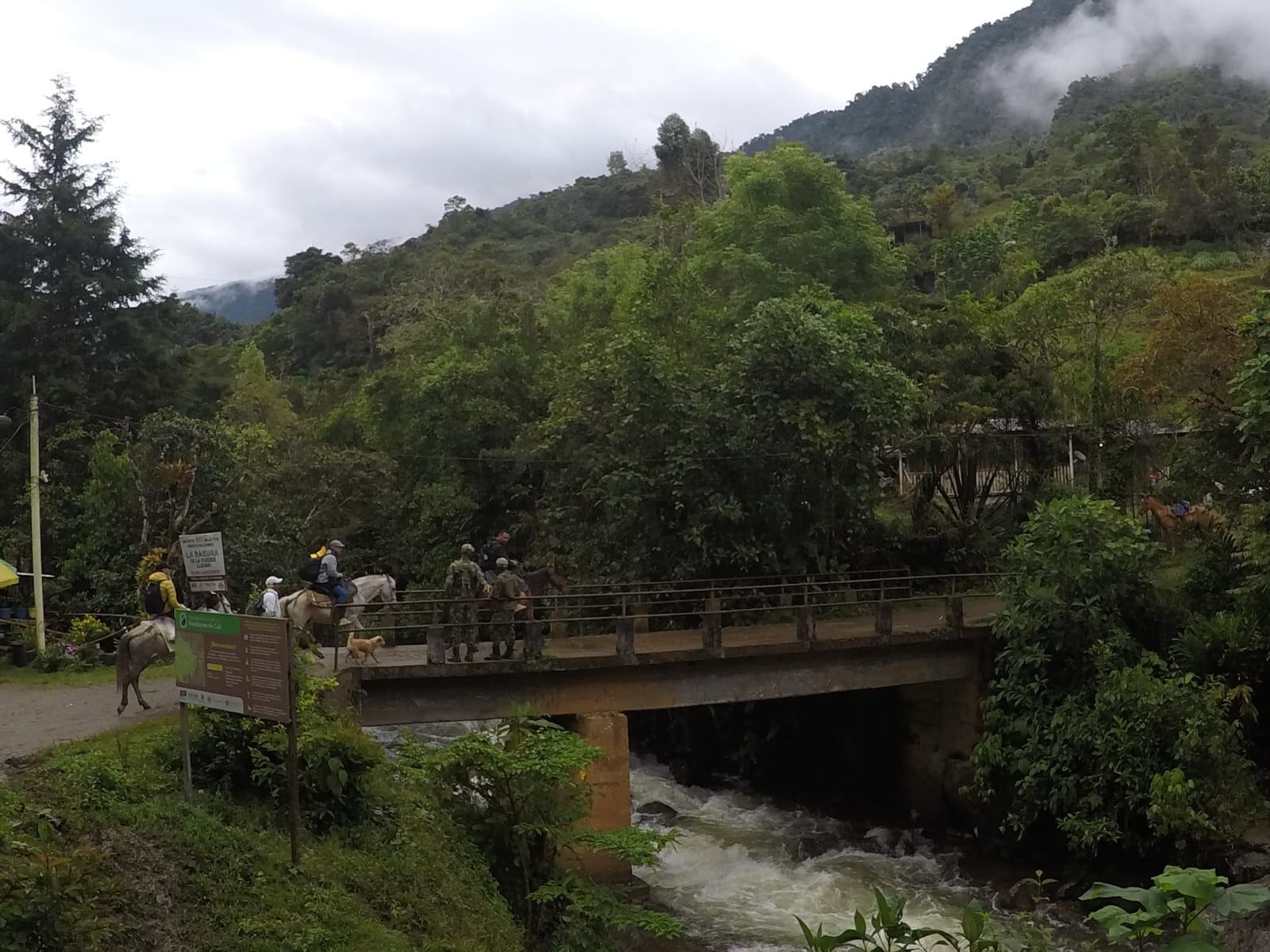 Venganzas y conflictos personales, serían las razones del aumento de homicidios en zona rural de Cali.