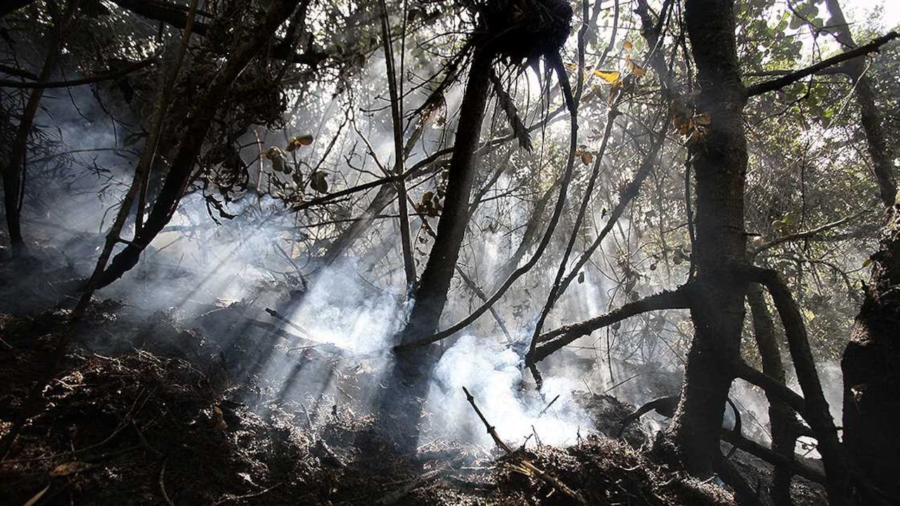 Foto: Daniel Reina/SEMANA