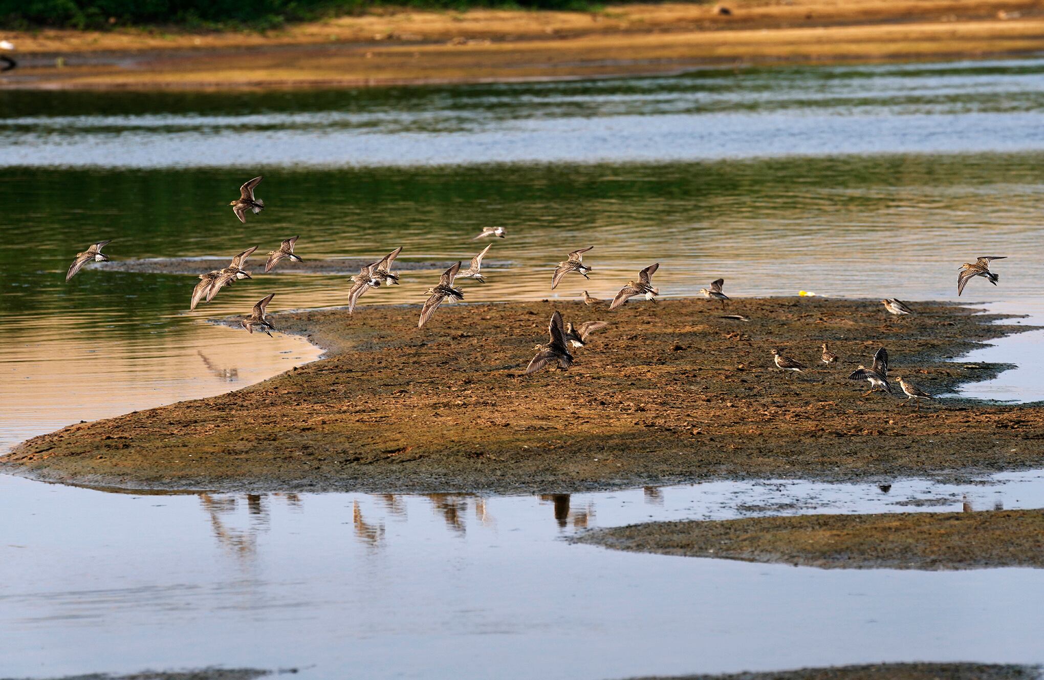 Las imágenes de la sequia del rio Paraguay