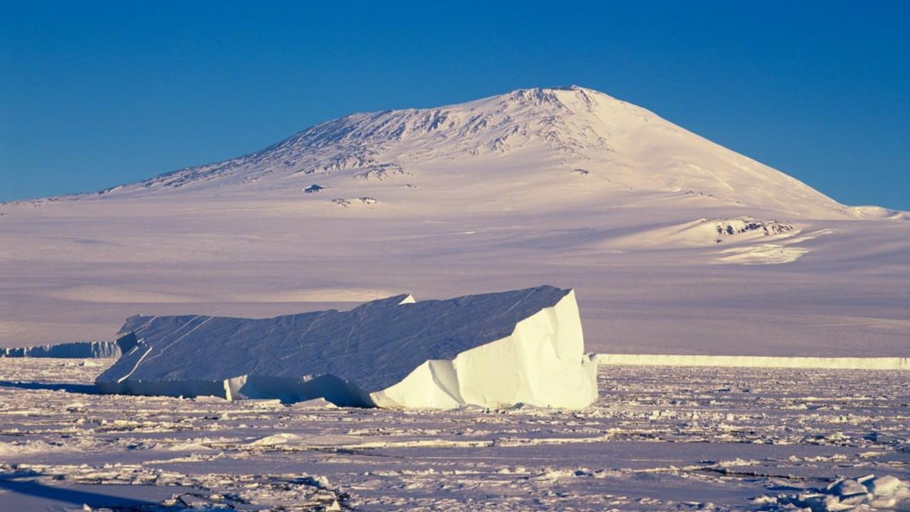 Una red de cuevas de hielo fumarólicas alberga una comunidad de hongos.