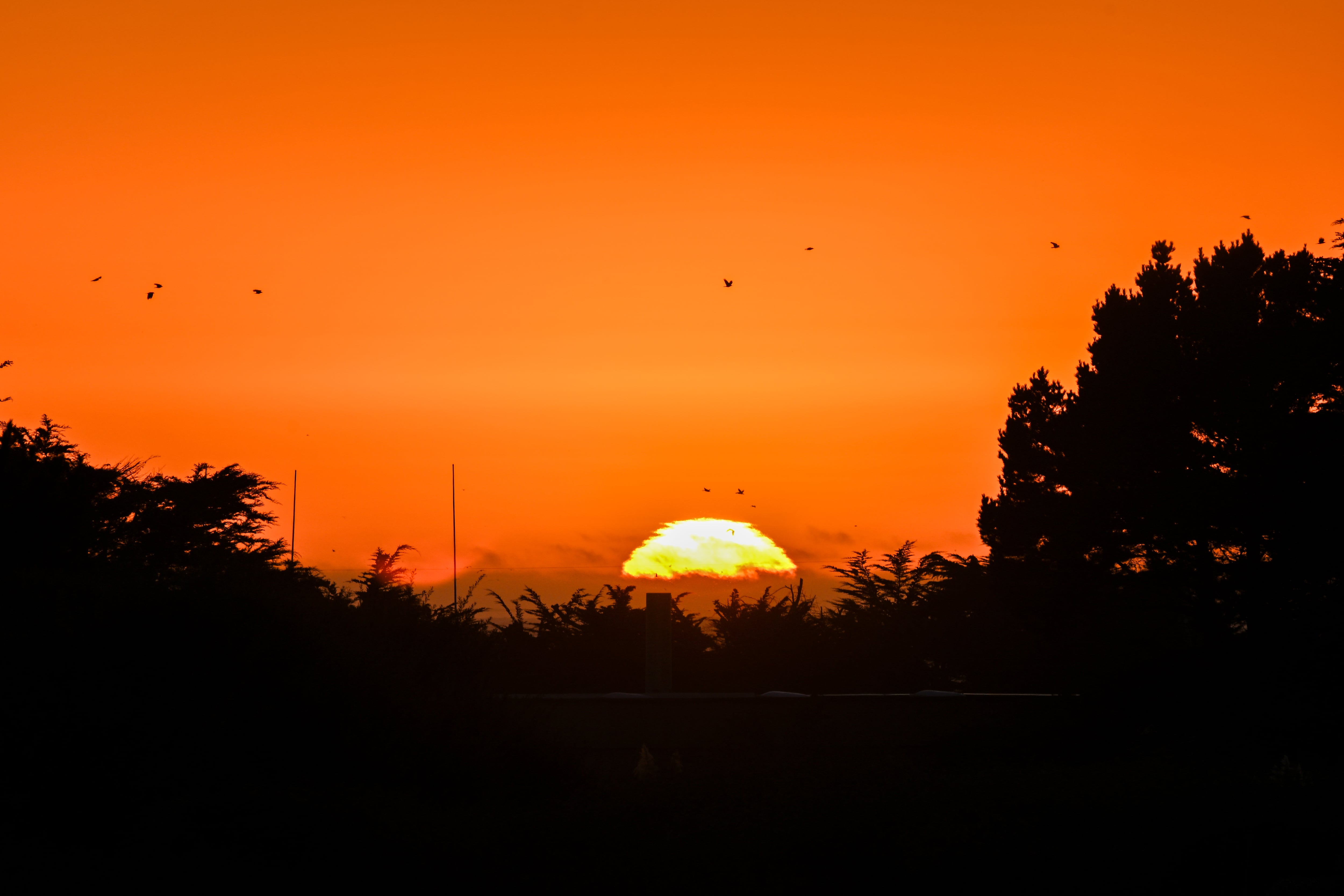 Atardecer en tiempo de verano. Florida