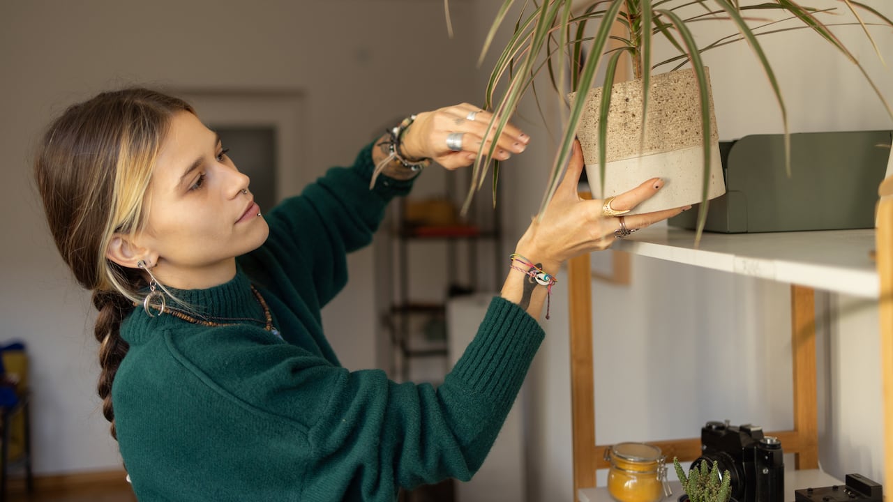 Un truco eficaz que puede cambiar el juego y restaurar la exuberancia de tus plantas en casa.