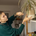 Los amantes de las plantas se enfrentan al desafío de las hojas secas en la Mala Madre.