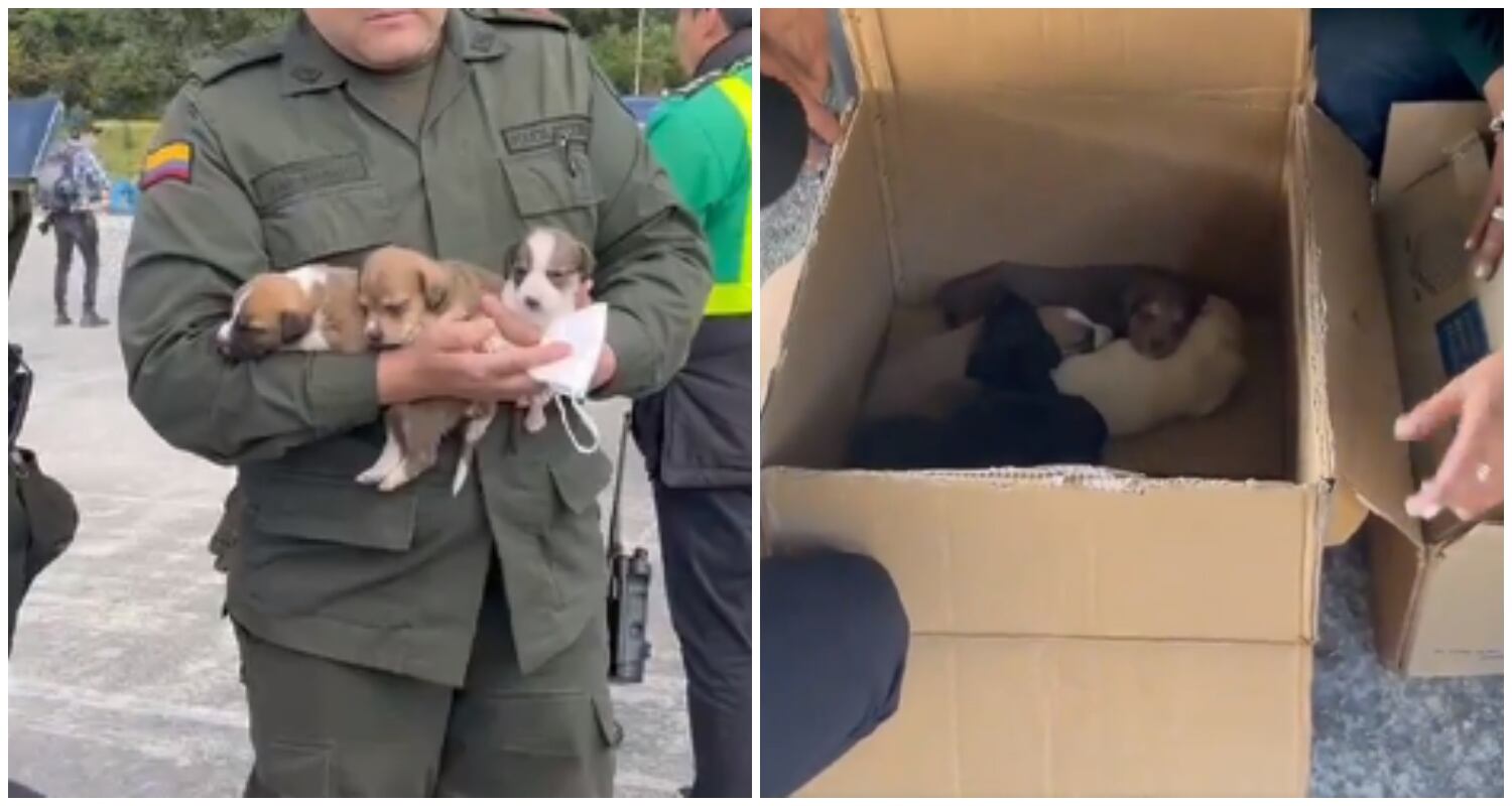 Foto: Video X @BluRadio