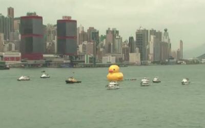 Patito gigante nada en Hong Kong