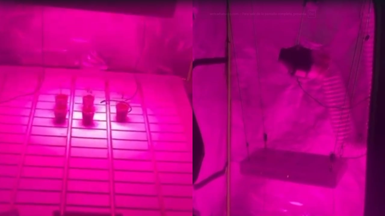 Esto fue lo que halló la Policía al interior de la residencia.