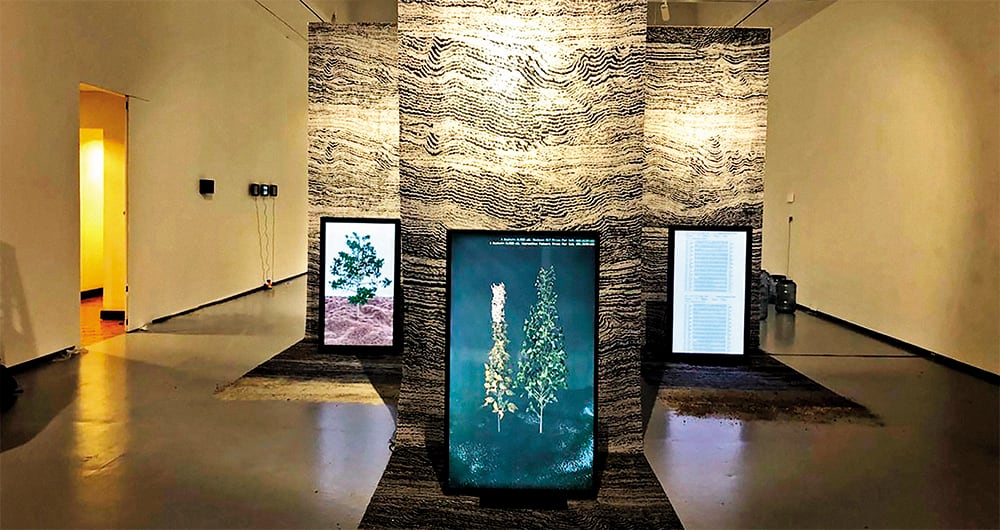 Atractor nació entre 2016 y 2017, pero su gestor, Juan Cortés, viene escuchando de suelos y cultivos toda su vida. Su padre fue una eminencia en el campo de la agrología en Colombia, con pasos por el Agustín Codazzi y universidades como Los Andes y la Tadeo.