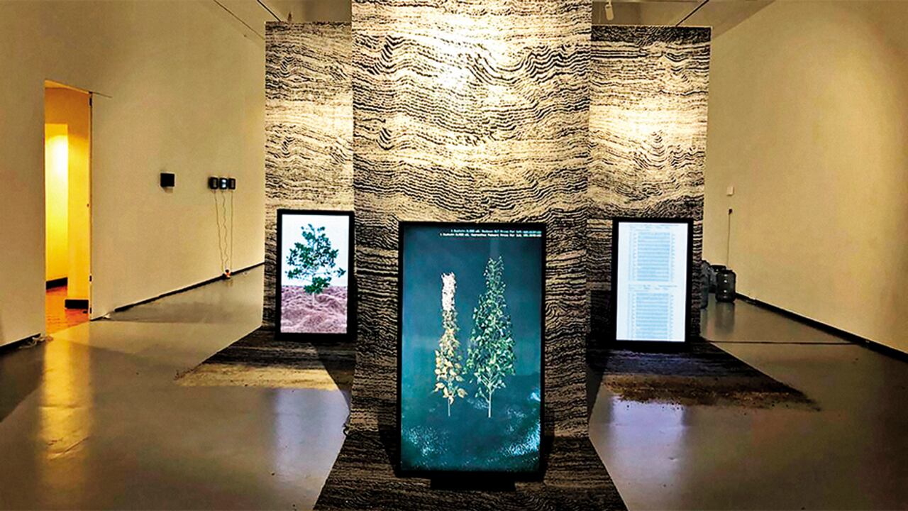 Atractor nació entre 2016 y 2017, pero su gestor, Juan Cortés, viene escuchando de suelos y cultivos toda su vida. Su padre fue una eminencia en el campo de la agrología en Colombia, con pasos por el Agustín Codazzi y universidades como Los Andes y la Tadeo.