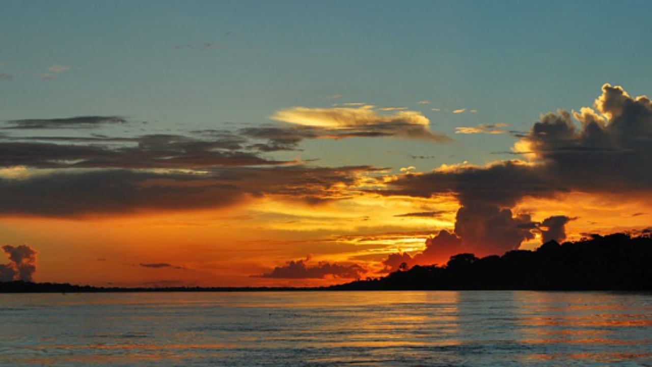 Parque Nacional Natural Amacayacu: ¿dónde queda y por qué visitarlo?