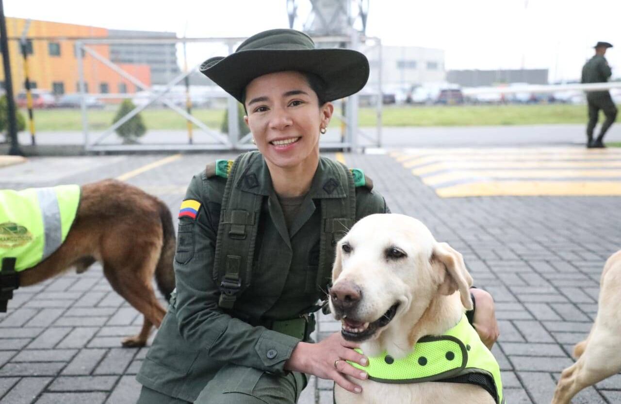 11 perros han muerto prestando sus servicios. 