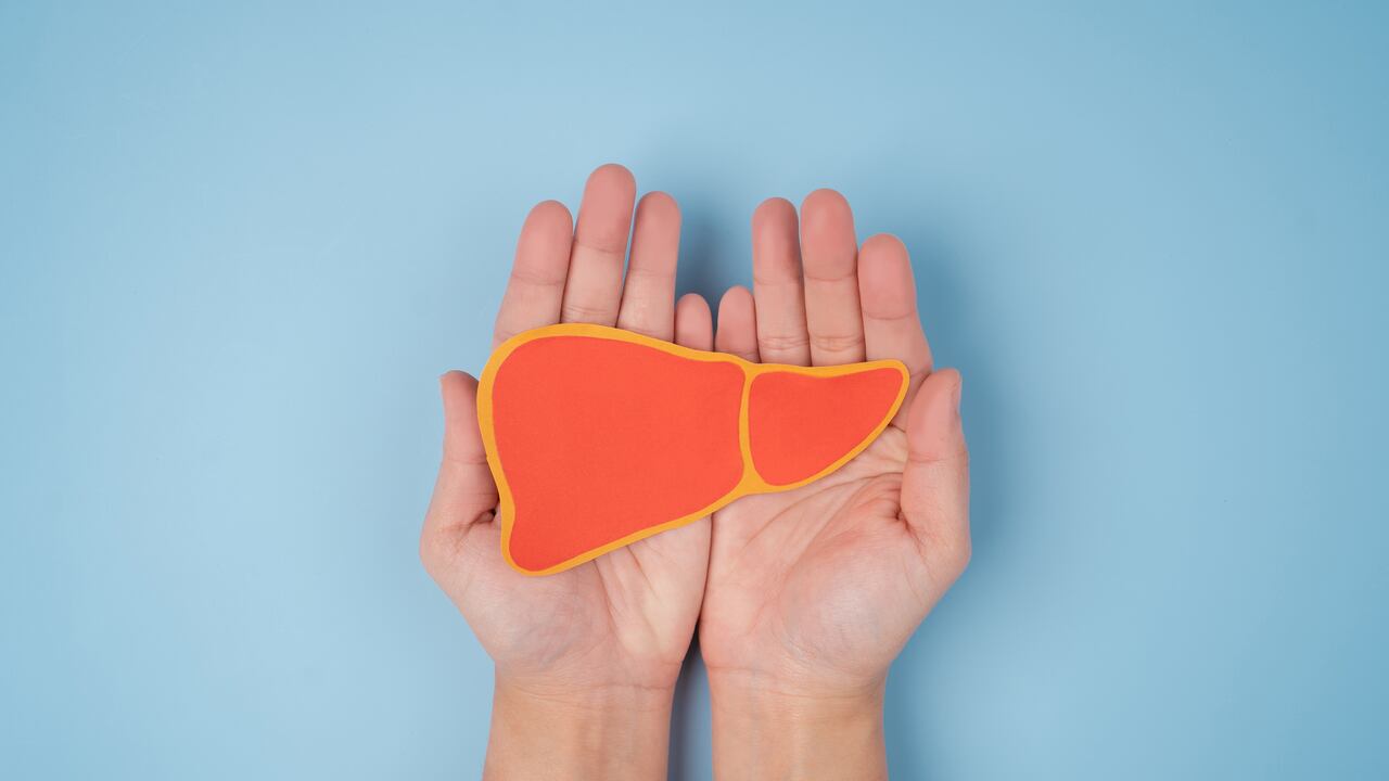 Liver shaped paper on blue background. Flat lay, top view. Medical or eco concept.