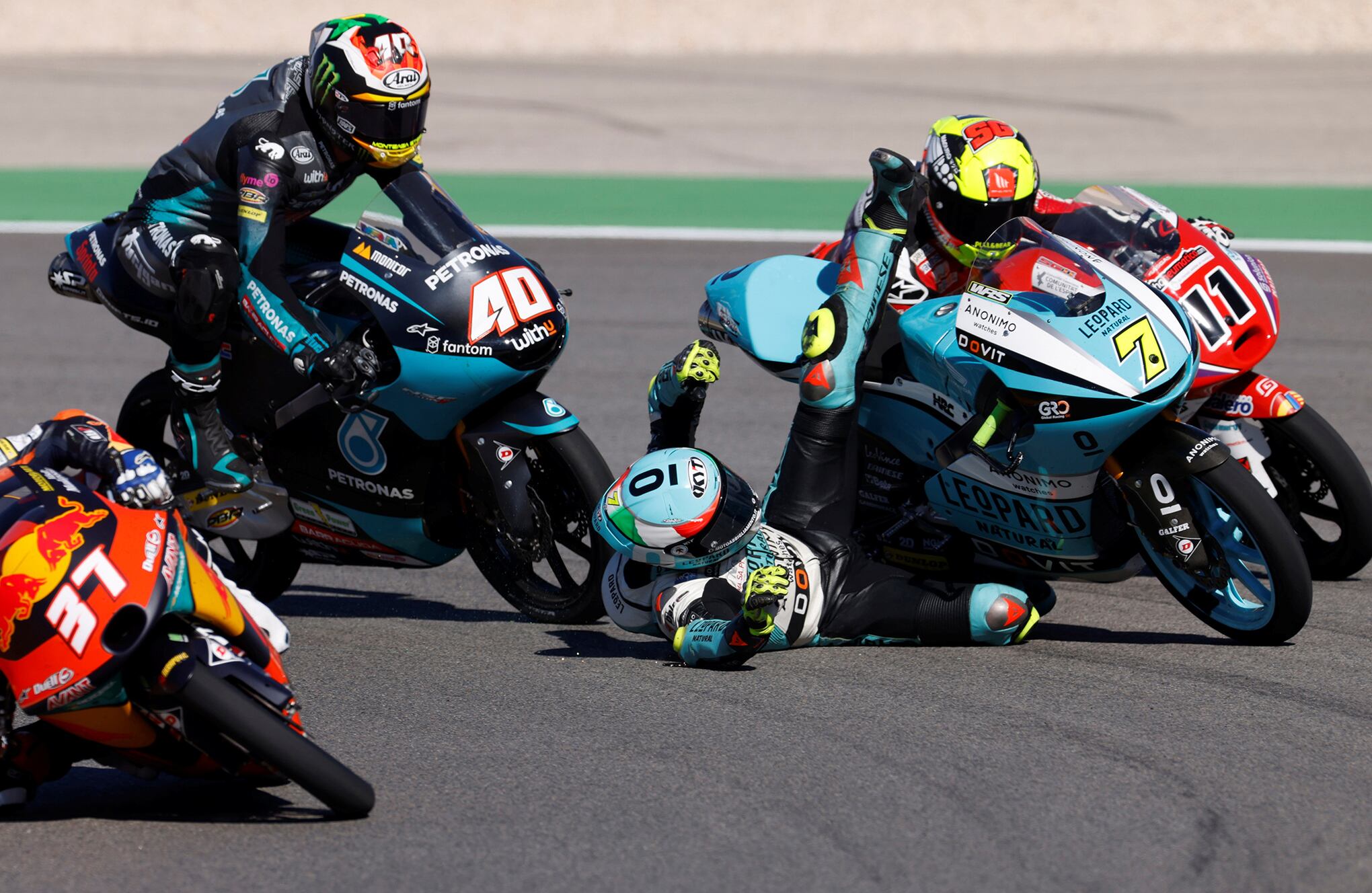 Fotos de la semana 12 nov