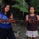 Comunidades indígenas de la Amazonia pueden desarrollar proyectos sostenibles recolectando los superfrutos de esta región para elaborar bebidas naturales.