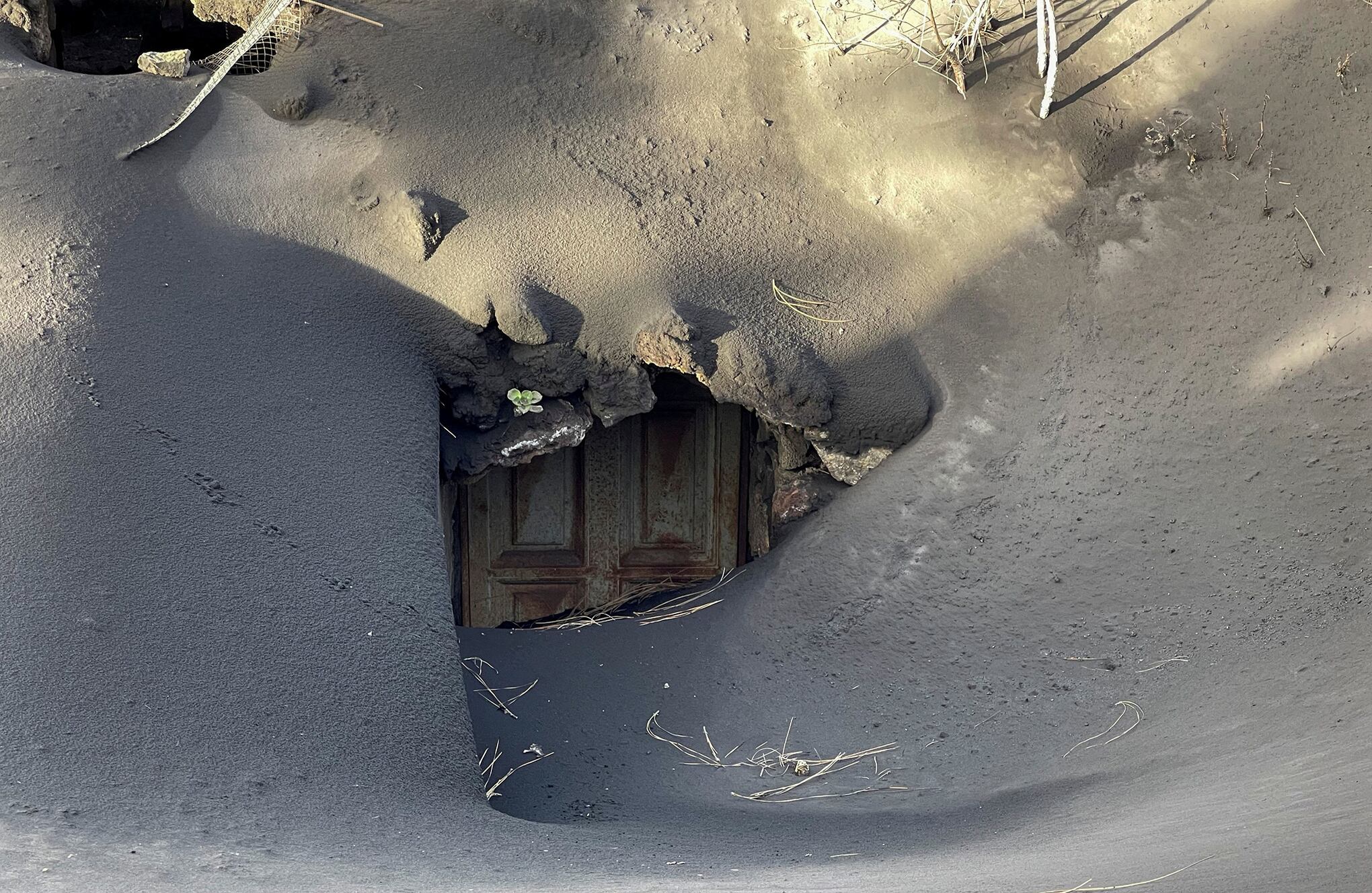 Fotos de la semana 17 dic