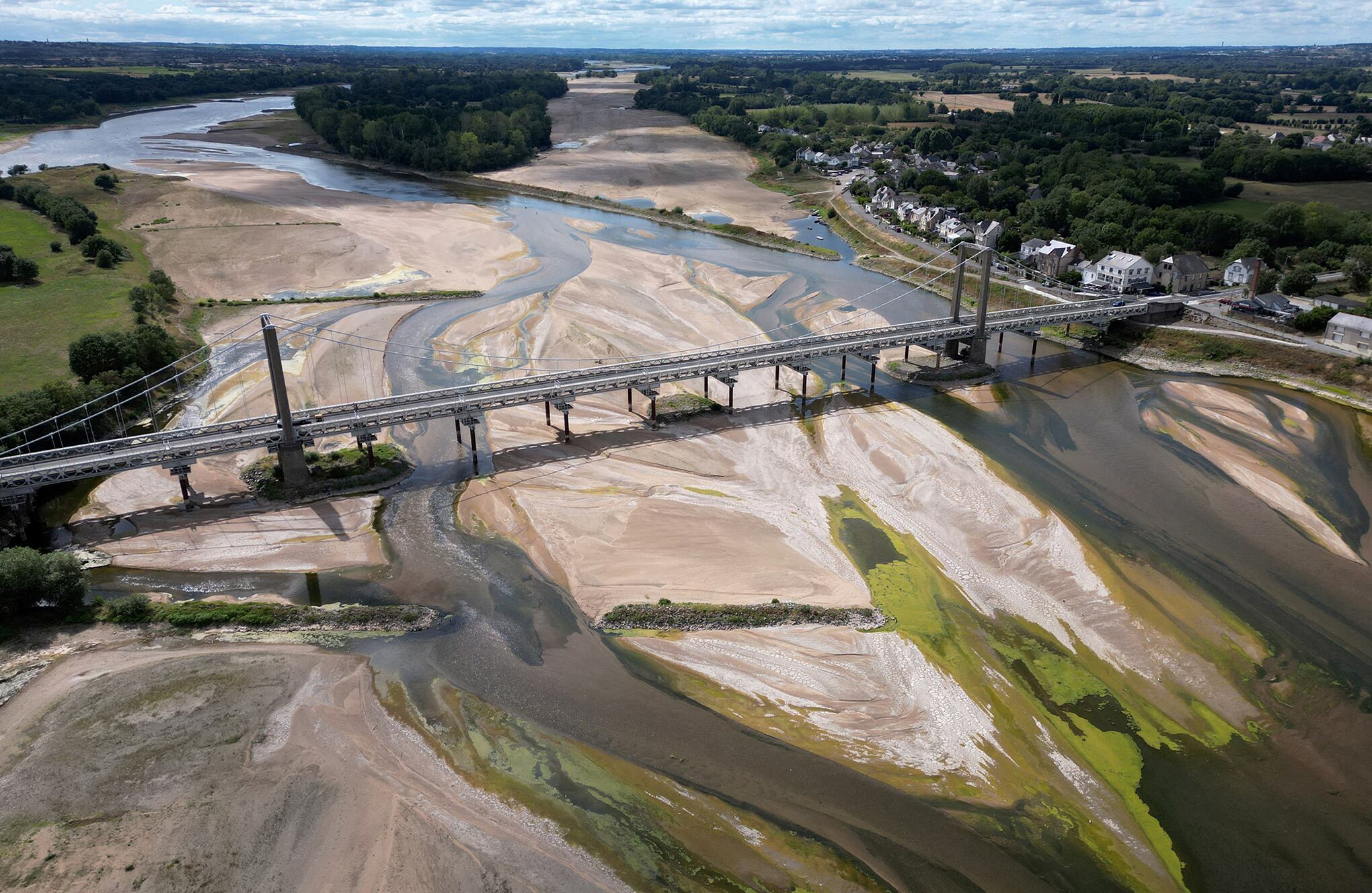 Fotos de la semana 28 julio