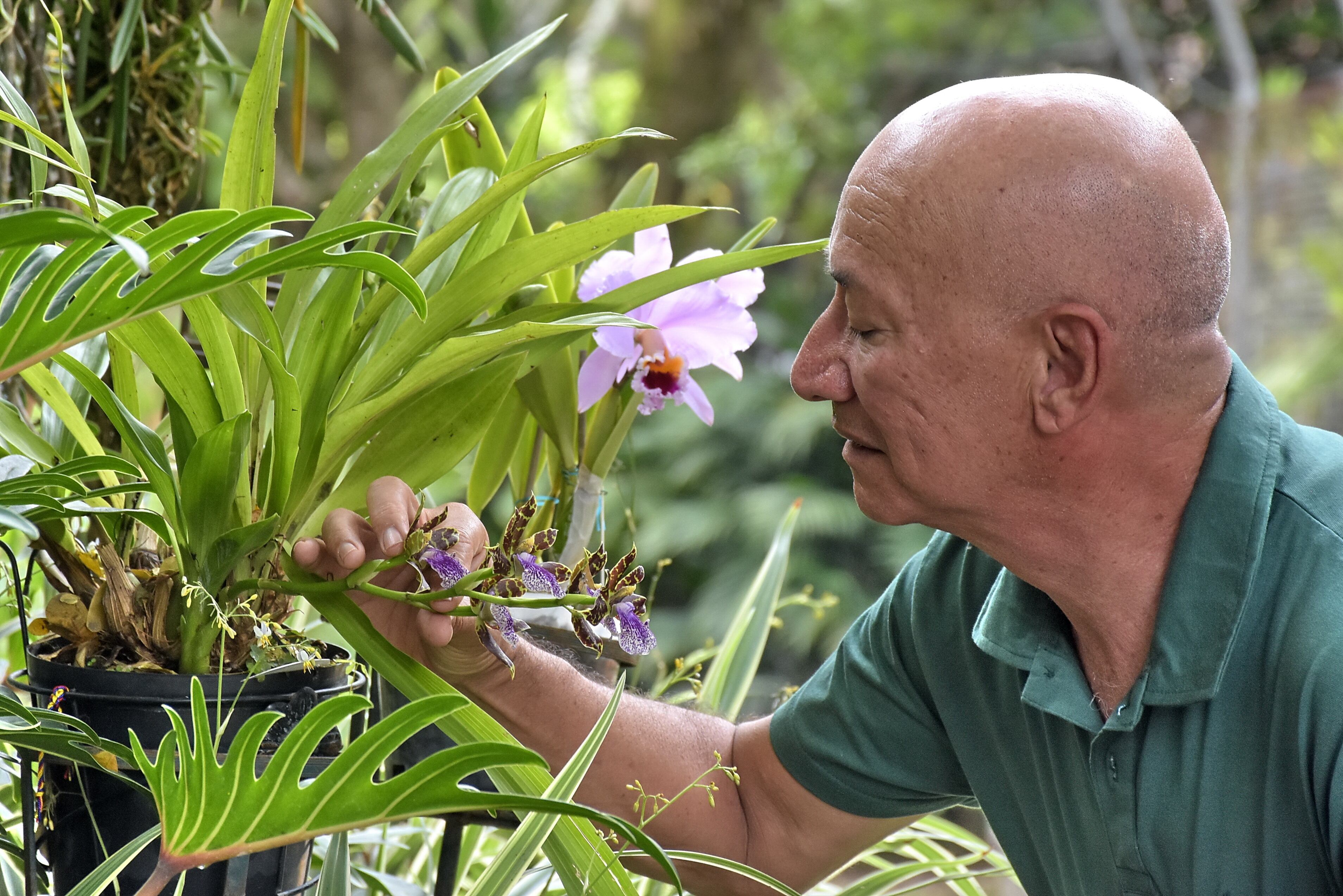 Entrevista a Coleccionistas de Orquídeas.