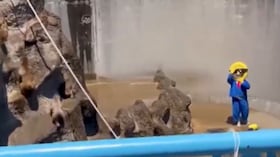 El área del mono “Punch” en el zoológico de Ichikawa, cerca de Tokio, donde ocurrió la irrupción que terminó con dos estadounidenses arrestados.