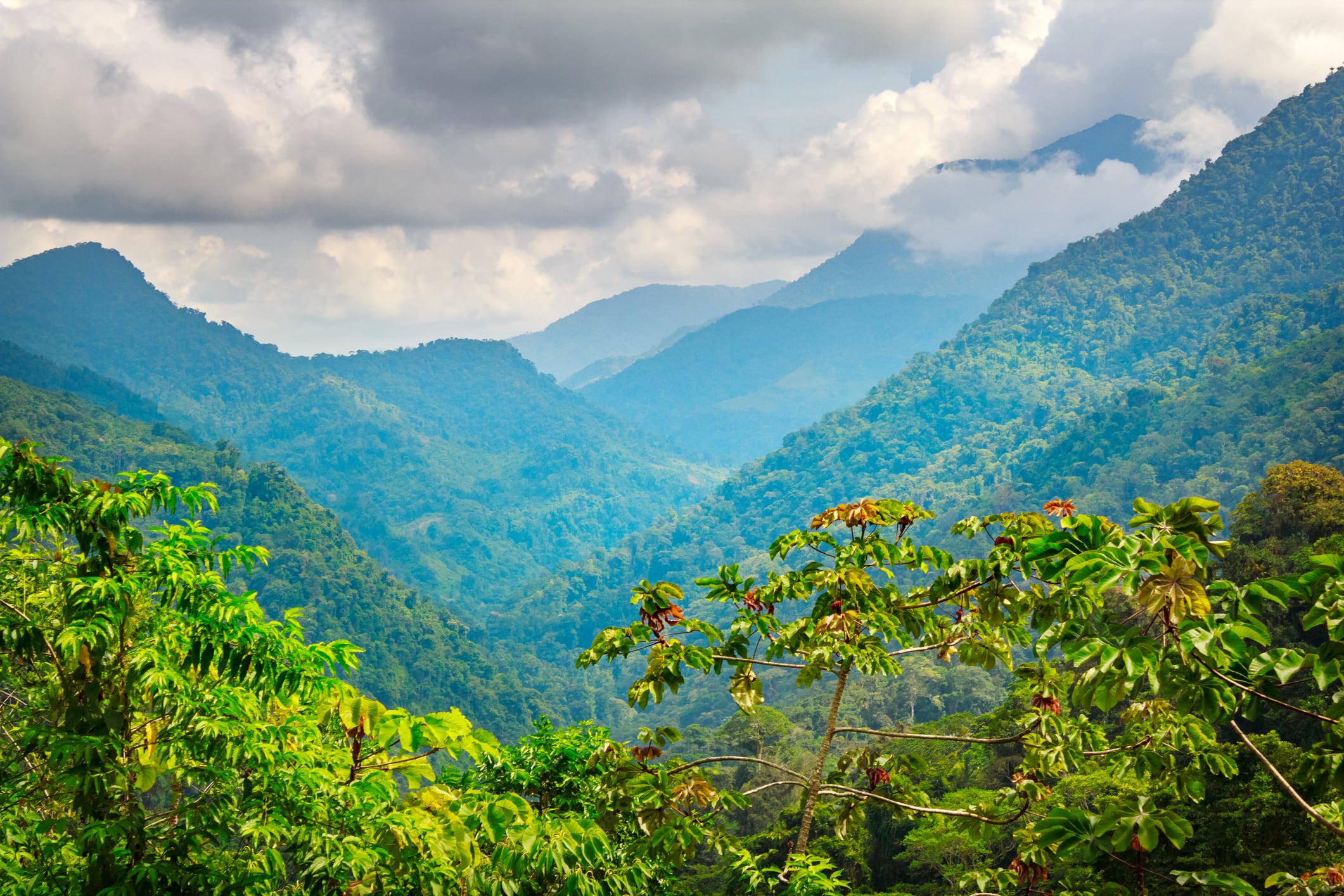 Sierra Nevada de Santa Marta