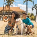 Esta nueva tendencia se ha fortalecido tanto, que ya es normal ver mascotas en restaurantes, centros comerciales, hoteles e incluso hay parques para estos.