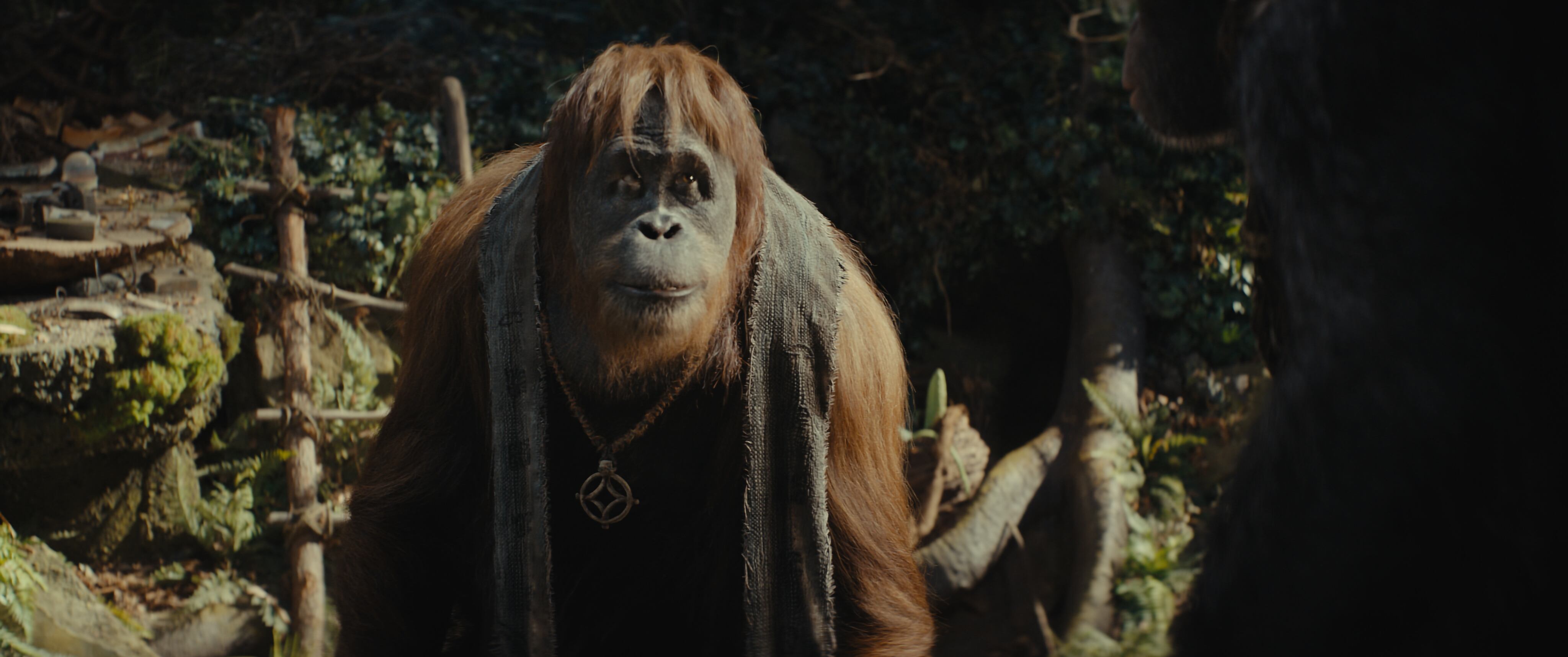 Raka en KINGDOM OF THE PLANET OF THE APES.