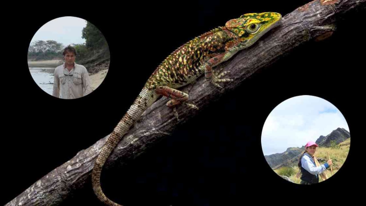 Ecosistemas subterráneos en Colombia: qué son y cómo se ven | Noticias hoy