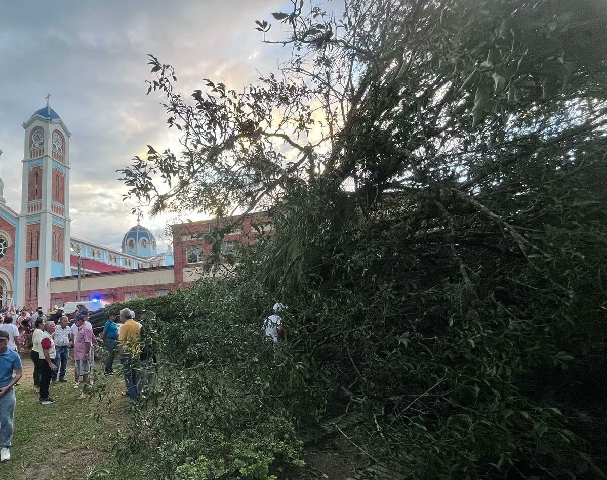 Las ramas generaron daños en locales comerciales y vehículos