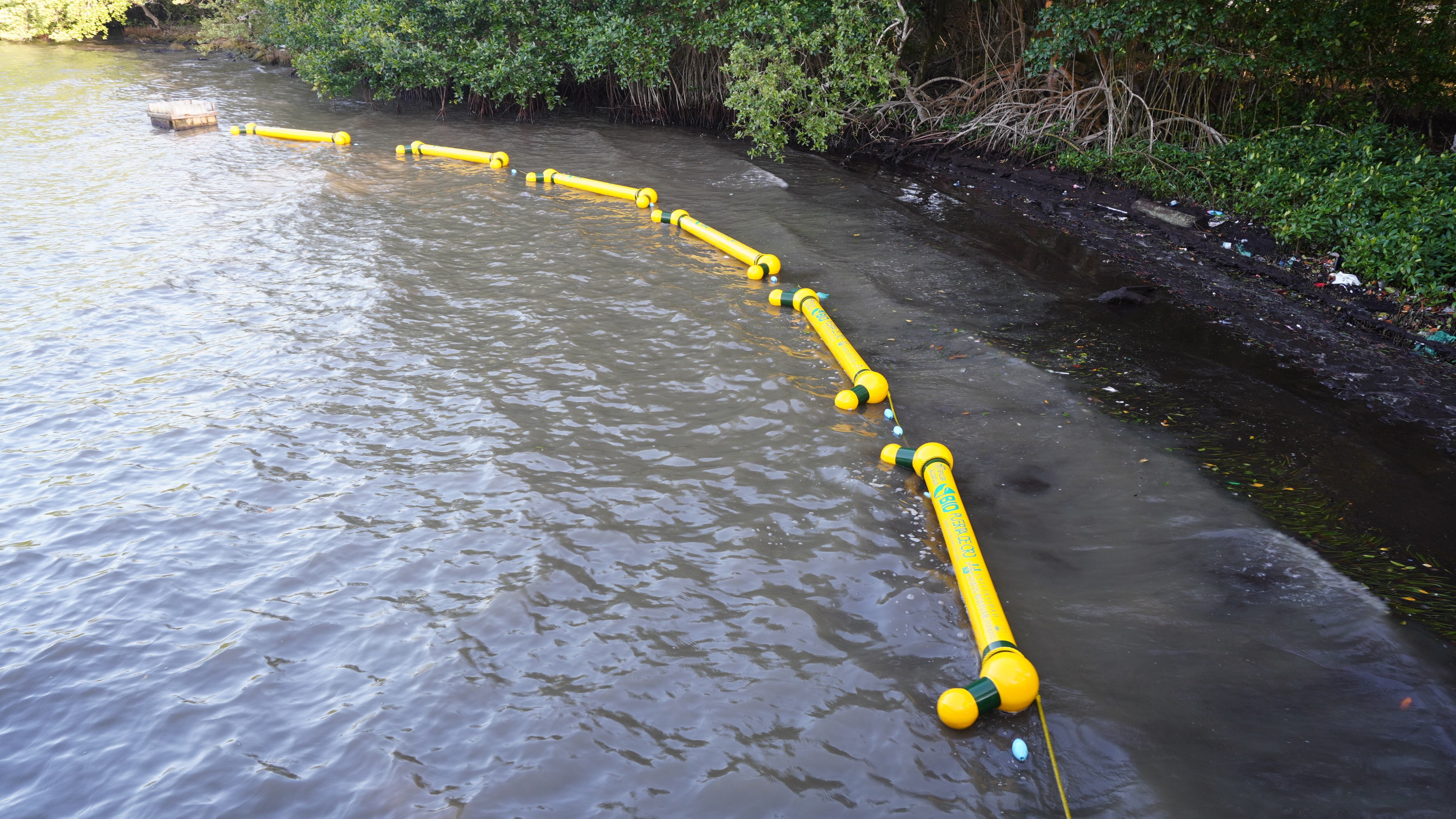 Retenedores flotantes para proteger el manglar de la ciénaga de Mallorquín.