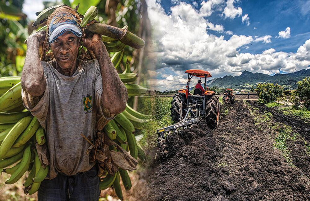  Los mejores precios de los alimentos, con miras a la demanda de fin de año, impulsaron la actividad agrícola.