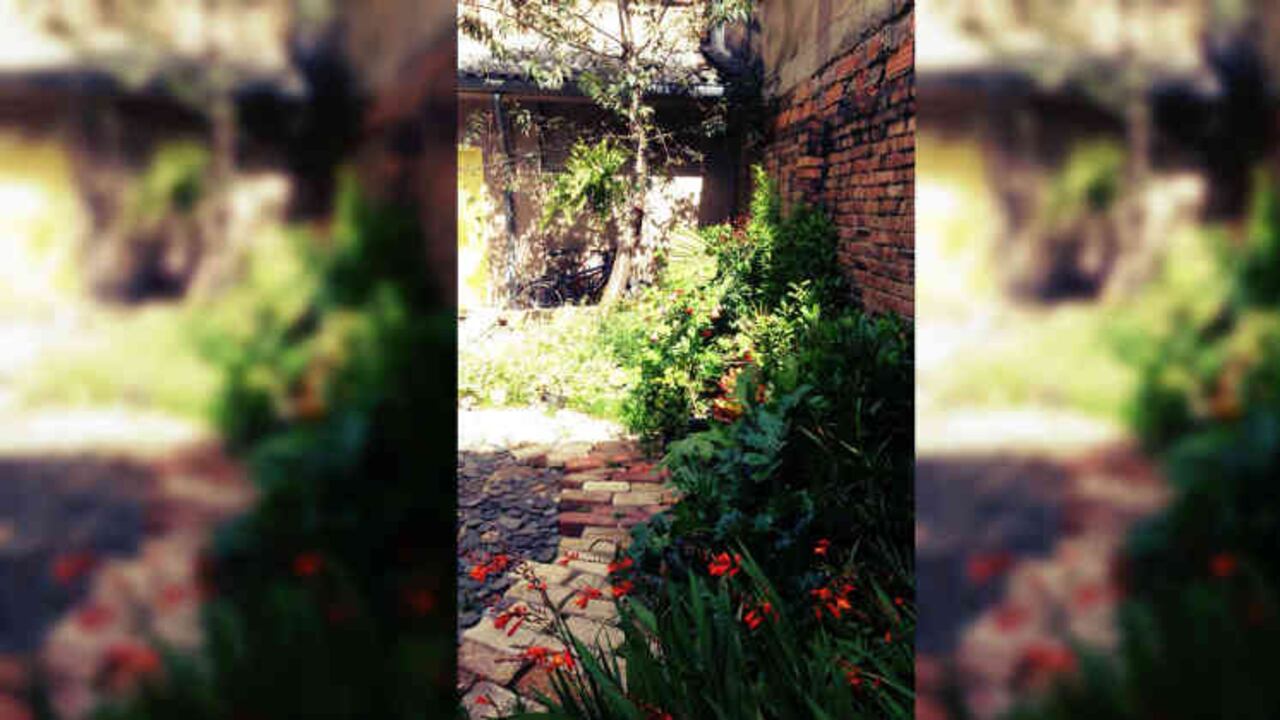 Foto cortesía: La Enramada