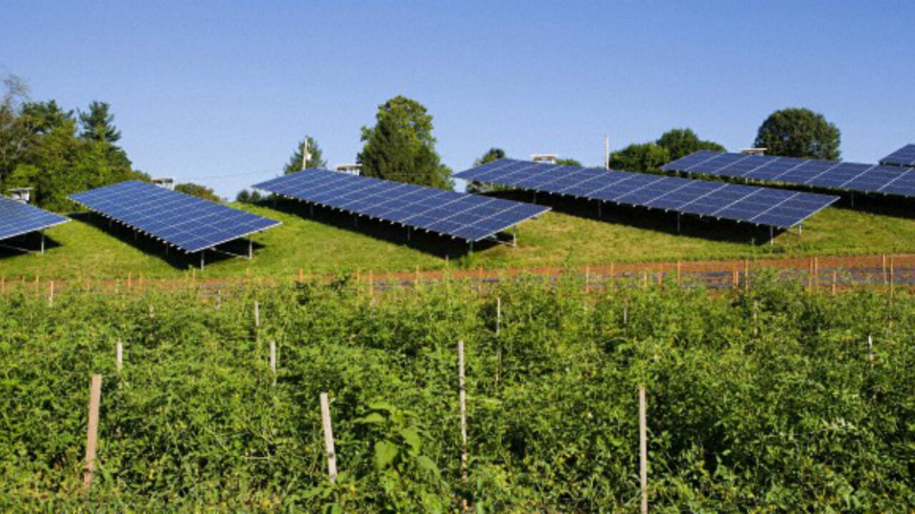 Hybrytec es una empresa colombiana que desarrolla proyectos para llevar electricidad a zonas apartadas del país a través de soluciones de energía solar fotovoltaica y térmica.