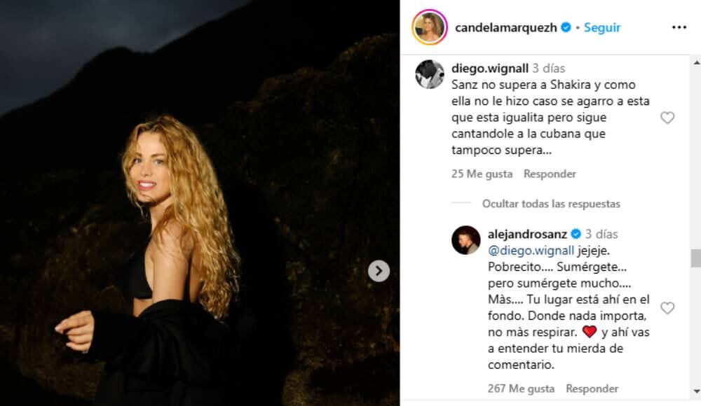 Comentario contra Alejandro Sanz