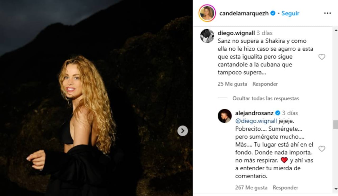 Comentario contra Alejandro Sanz