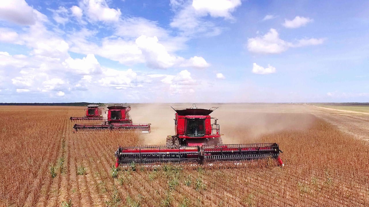 Hoy existen 13,5 millones de hectáreas en la altillanura colombiana, y de esas 2,8 tienen potencial agropecuario.