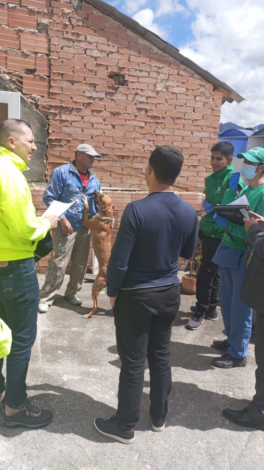 Al canino le pegaban con ladrillos