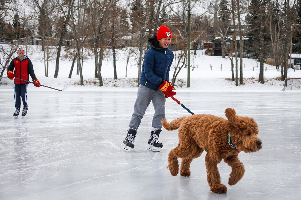 Fotos de la semana - 21 de noviembre