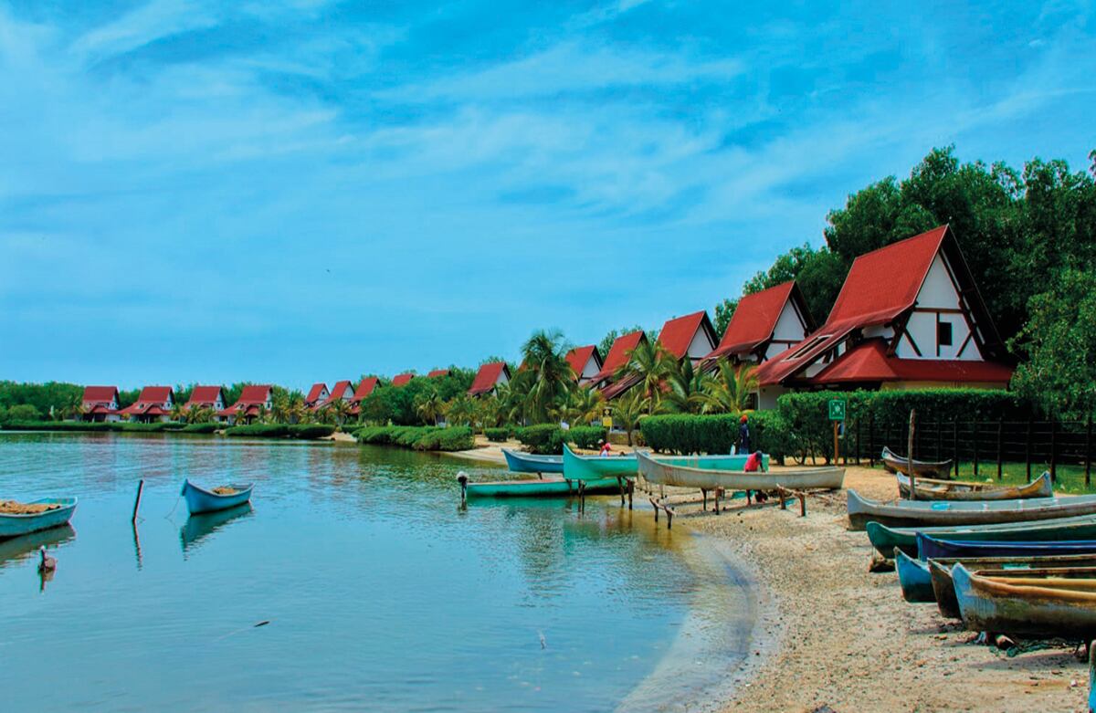 Justo en la desembocadura del río Sinú en el mar Caribe se encuentra San Antero, un destino ideal de playa, donde, además de practicar deportes acuáticos, es posible encontrar delfines rosados y grises, y tortugas albinas.