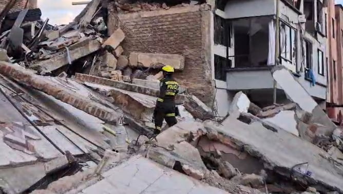 Guías y caninos en labores de búsqueda luego del terremoto.