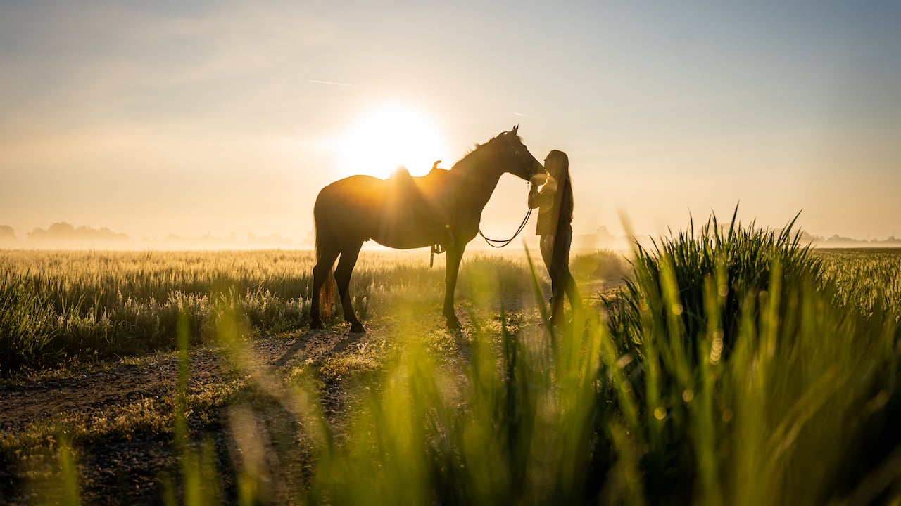 Mujer abrazando a un caballo en el campo