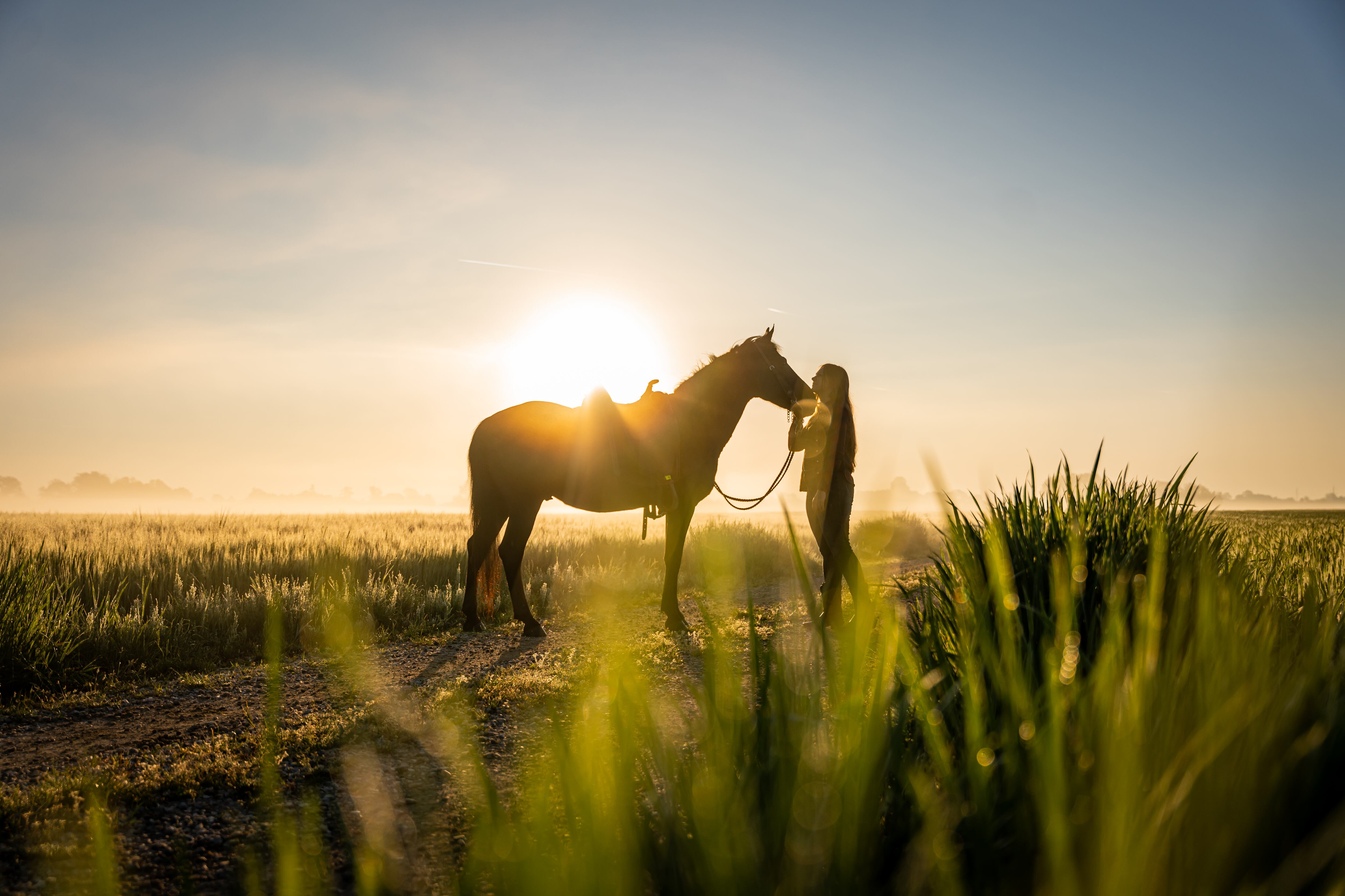 Mujer abrazando a un caballo en el campo